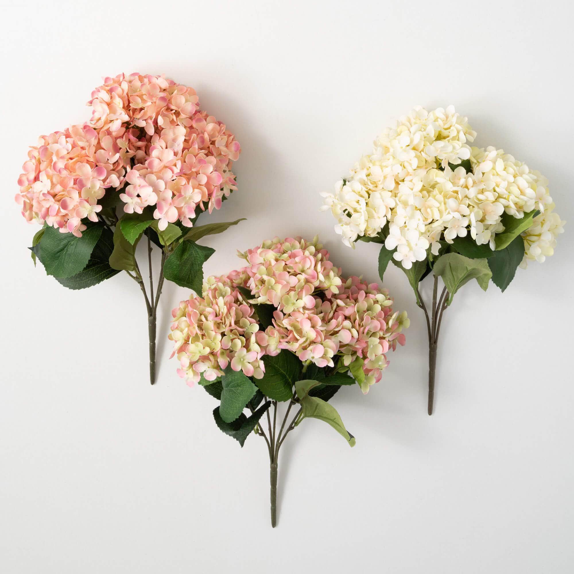 Hydrangea Bush